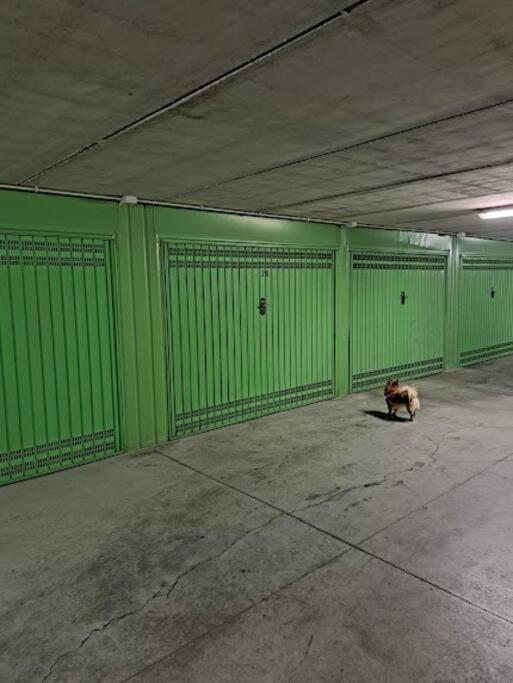 דירות ארמה די טאגיה Centrale Vicino Spiagge E Ciclabile + Box-Auto ! מראה חיצוני תמונה